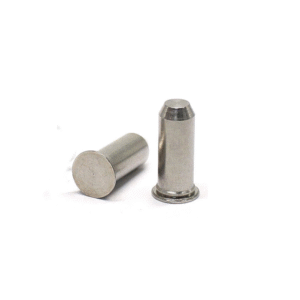Stainless (TPS) Clinch Pilot Pins